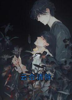 云合清除小说(完结)-苏心语谷飞夏章节阅读-暗夜阅读网