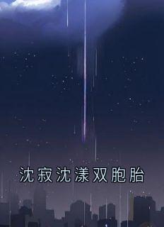 热门小说沈寂沈漾双胞胎完整版全文阅读