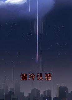 新上清冷认错沈寂小说免费阅读