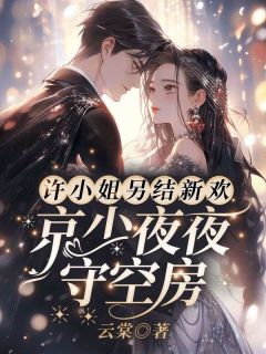许愿傅京礼许宁小说免费版阅读抖音热文