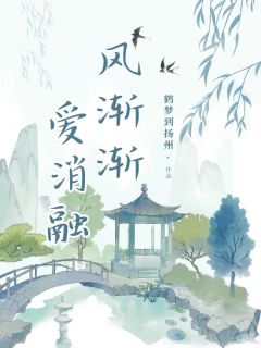 风渐渐，爱消融在线全文阅读-主人公许安宁沈清寒小说