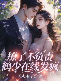 撩了不负责，鹤少在线发疯是什么小说林向婉萧鹤川全本免费阅读-暗夜阅读网