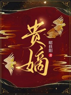 抖音张汐音复仇小说章节阅读