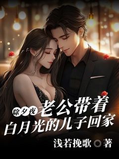 精品小说除夕夜，老公带着白月光的儿子回家全文目录畅读