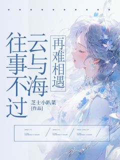 往事不过云与海，再难相遇精彩章节-往事不过云与海，再难相遇免费阅读全文