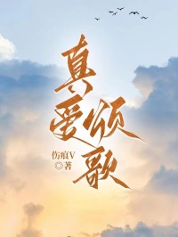 陆槐北吴心瑶伤痕V小说全章节最新阅读