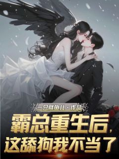 正版小说霸总重生后，这舔狗我不当了林娇沈言宽在线免费阅读-暗夜阅读网