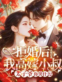 转嫁京圈大佬后，前任悔不当初（苏婉禾司怀礼）精彩小说目录阅读