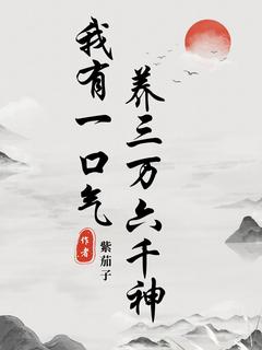 精彩小说傅山夏阿公我有一口气，养三万六千神全文目录畅读-暗夜阅读网