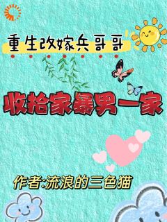 精品小说重生改嫁兵哥哥，收拾家暴男一家全文目录畅读