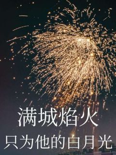 满城焰火,只为他的白月光小说的书名是什么