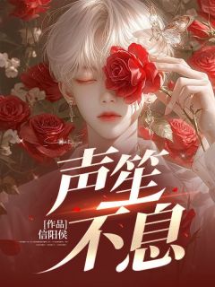 抖音声笙不息txt小说阅读