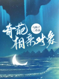 奇葩相亲对象小说全章节目录阅读BY乌梅子完结版阅读