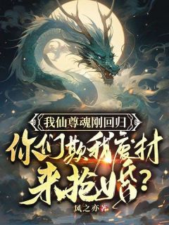 我仙尊魂刚回归，你们欺我废柴来抢婚？暮凌云烟小说完整在线阅读