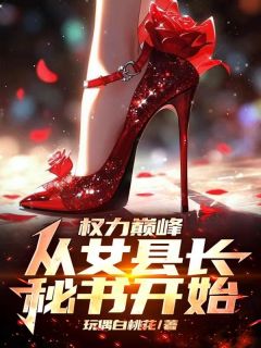 玩偶白桃花的小说权力巅峰:从女县长秘书开始全文阅读