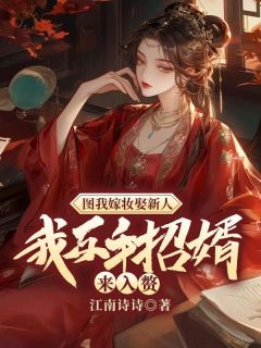良心推荐图我嫁妆娶新人？我反手招婿来入赘！小说试读
