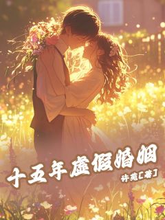 主角是沈冉季闻的小说十五年虚假婚姻最完整版热门连载-暗夜阅读网