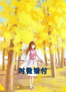 抖音爆款时微错付完整小说（全文阅读）