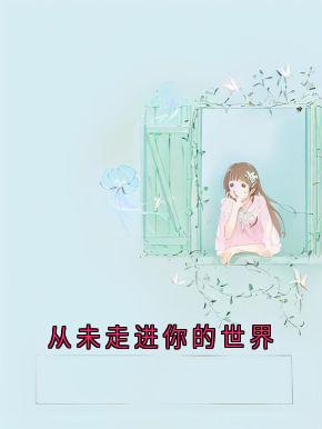 抖音热推小说从未走进你的世界全文在线阅读