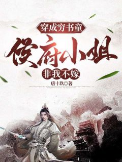穿成穷书童：侯府小姐非我不嫁秦风魏锦颜无广告在线阅读