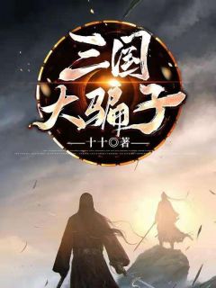 全章节小说三国大骗子十十最新阅读-暗夜阅读网