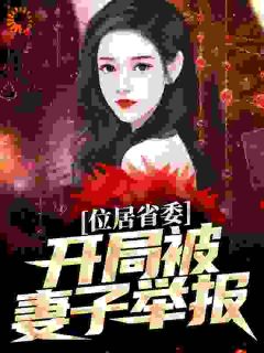 主角黎锦苏玉小说爆款位居省委，开局被妻子举报完整版小说-暗夜阅读网