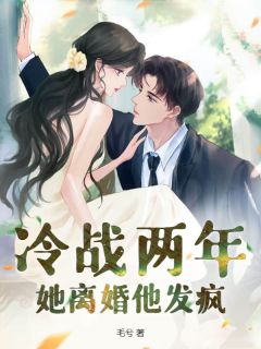 冷战两年，她离婚他发疯是什么小说许轻衣陆庭深全本免费阅读