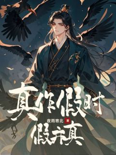 真作假时假亦真(全章节)-沈明山沈云瑾在线阅读-暗夜阅读网
