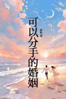高质量小说可以分手的婚姻在线试读