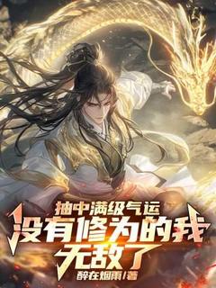 林羽楚灵韵主角小说抽中满级气运，没有修为的我无敌了抖音文免费阅读全文-暗夜阅读网