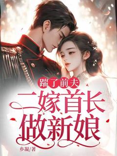 踹了前夫：二嫁首长做新娘在哪免费看，苏染秦牧小说章节目录阅读