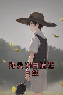 精彩小说陆云洲白婉陆云洲白清芷白婉全文目录畅读-暗夜阅读网
