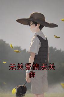 正版小说无关爱情无关你陆云洲白婉在线免费阅读-暗夜阅读网