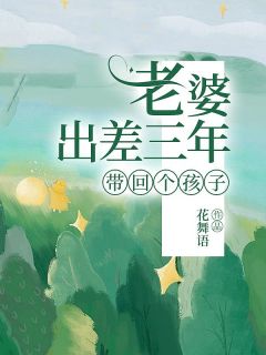花舞语的小说老婆出差三年，带回个孩子全文阅读