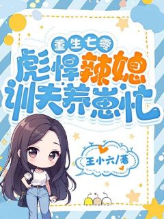 主角闻倩陆正的小说作者王小六