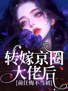 【新书】转嫁京圈大佬后，前任悔不当初主角苏婉禾司怀礼全文全章节小说阅读-暗夜阅读网