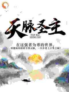 叶无仙玉玲珑小说<天脉圣主>全文在线阅读