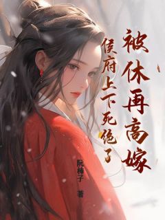 值得熬夜看完的被休再高嫁，侯府上下死绝了小说阅读