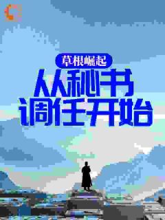 最完整版草根崛起:从秘书调任开始热门连载小说-暗夜阅读网