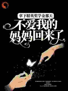 拿下精英奖学金那天，不爱我的妈妈回来了(陆冉陆枫)最新章节试读