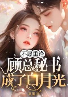 新上不愿重逢，顾总秘书成了白月光其墨小说免费阅读