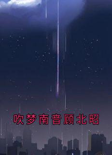 全章节小说吹梦南音顾北昭南音最新阅读-暗夜阅读网