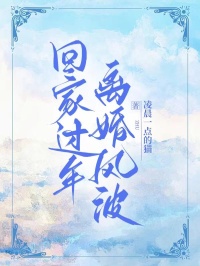 无广告小说回家过年离婚风波-宋辞晴晴在线阅读
