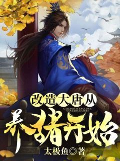 改造大唐从养猪开始伊关房玄龄免费全章节目录阅读-暗夜阅读网