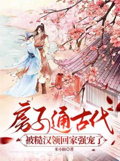 苏晚晚沈渊主角的小说完结版房子通古代，被糙汉领回家强宠了全集