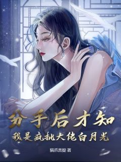 分手后才知，我是疯批大佬白月光沈清禾贺景麟-小说未删减阅读
