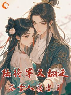 快手陆将军又翻进苏贵人的寝室了小说全本章节大结局