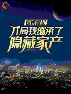 医婿崛起:开局我继承了隐藏家产是什么小说洛武周毅全本免费阅读-暗夜阅读网