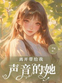 爆款热文梁不言陈若梦在线阅读-离开带给我声音的她全章节列表-暗夜阅读网