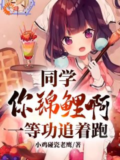 同学你锦鲤啊，一等功追着跑(高叶高建国)全文章节在线阅读-暗夜阅读网